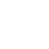 Erasmus Centre for Data Analytics Siemens Logo white