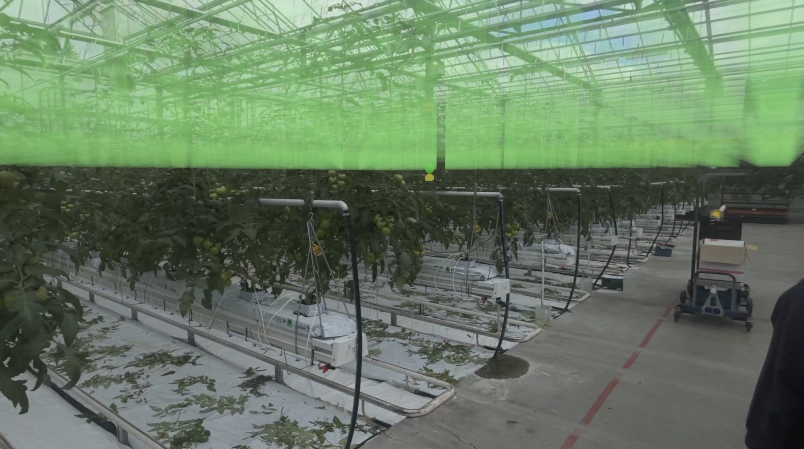 RobocropsCubeHeatmap
